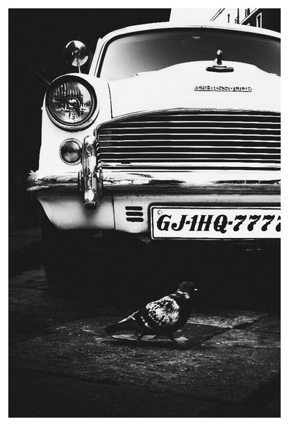Front of a Hindustan Ambassador and a pigeon walking in Milan, Lombardy, Italy